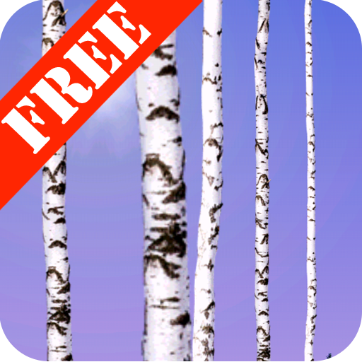 Birch Wood Free LWP icon