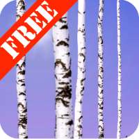 Birch Wood Free LWP