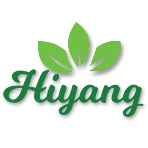 Hiyang International icon