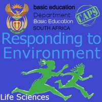 Responding to Environment | Life Sciences Grade 12 on 9Apps