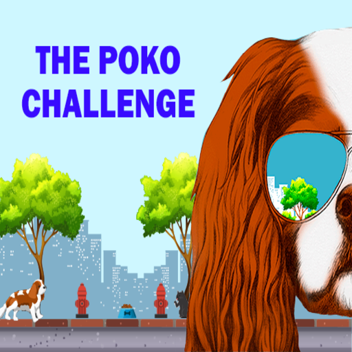 VTV - The Poko Challenge icon