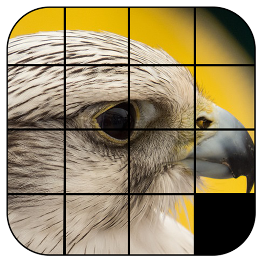 Picture Puzzle Challenge icon