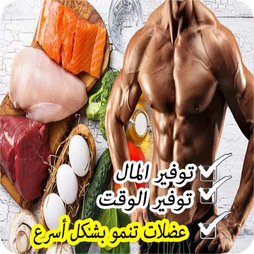 وجبات كمال الأجسام للمبتدئين