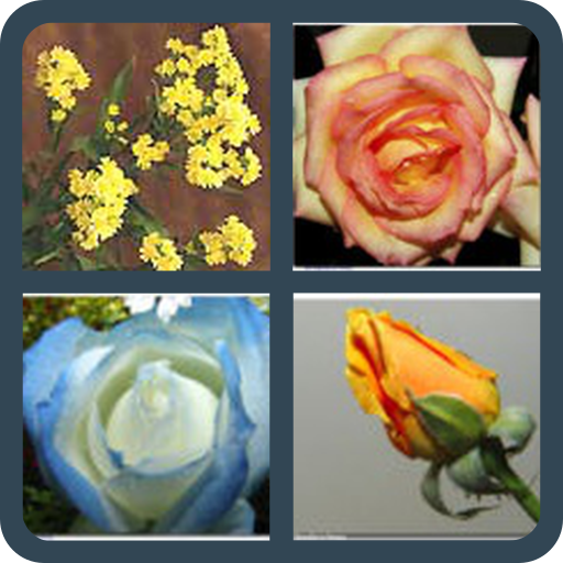 ¿Cúal es la flor? icon