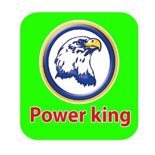 Power King icon