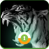 Angry Tiger Wall &amp; Lock icon