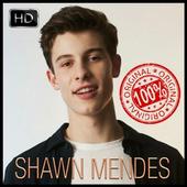 Shawn Mendes icon
