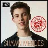 Shawn Mendes on 9Apps