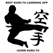 Learn Kung Fu icon