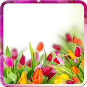 Flowers Live Wallpaper icon
