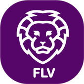 FLV Player For Android icon
