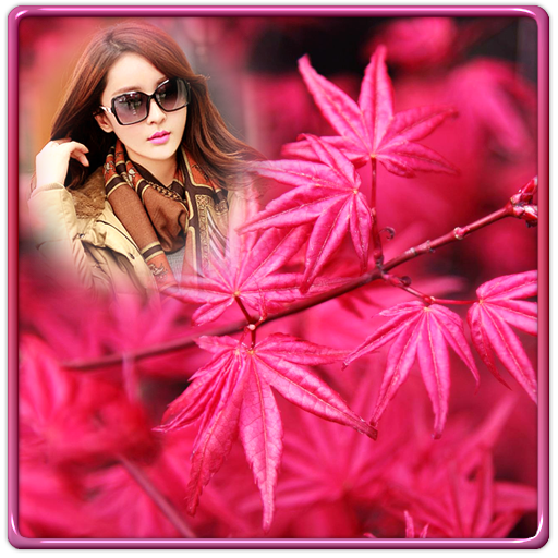 Autumn Photo Frames icon