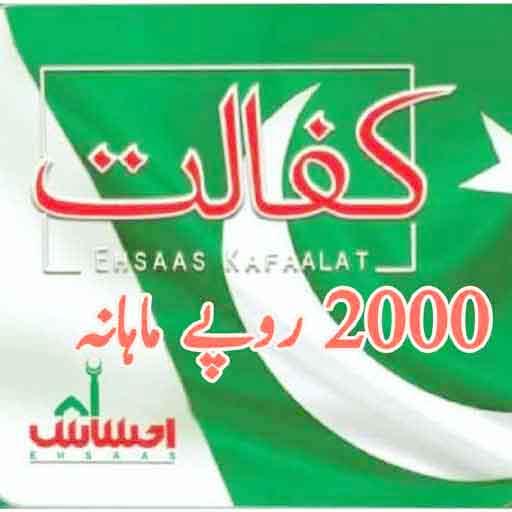 Ehsas Kafalat Program App Full Guide icon