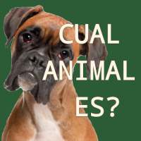 ¿Cuál Animal es?