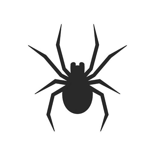 Spider Ninja أيقونة