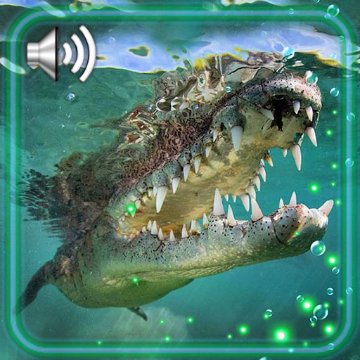 Crocodile HD Live Wallpaper icon