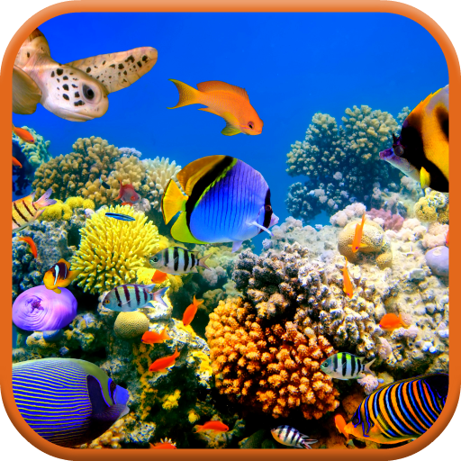 Sea Life 3D Video Wallpaper icon