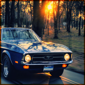 Mustang Wallpapers icon