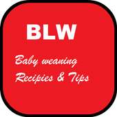 BLW : Baby Lead Weaning Recipes and Tips on 9Apps