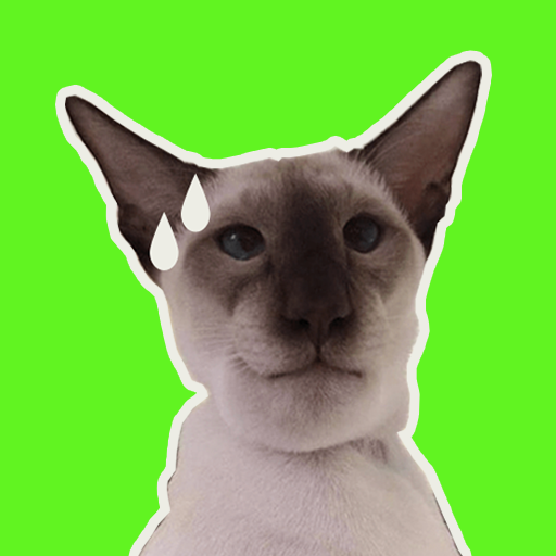 Cat Memes Stickers icon