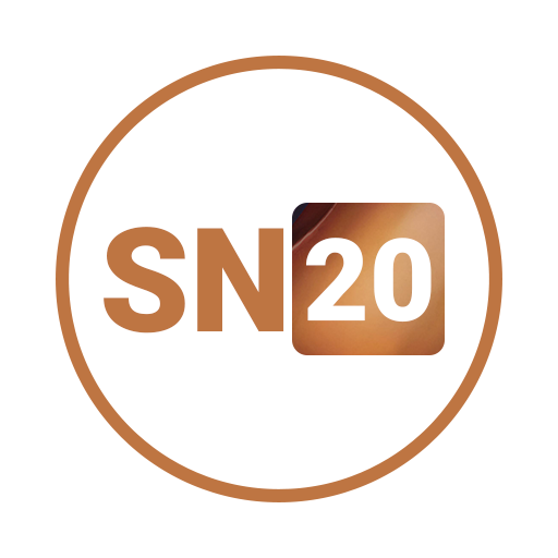 SN 20 One-UI EMUI 9/10 THEME icon