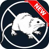 Anti Mouse Prank on 9Apps