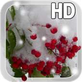 Winter Berry Live Wallpaper