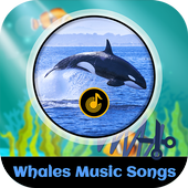 Whales Music Songs icon