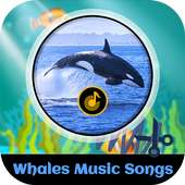 Whales Music Songs on 9Apps