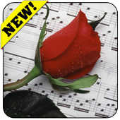 Romantic pictures 4 whatsapp icon