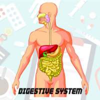 AR Digestive System on 9Apps