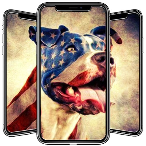 Pitbull Wallpaper icon