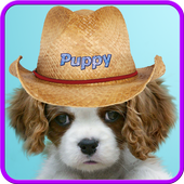 Sweet puppy live wallpaper icon