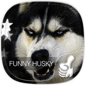 Funny Husky launcher theme icon