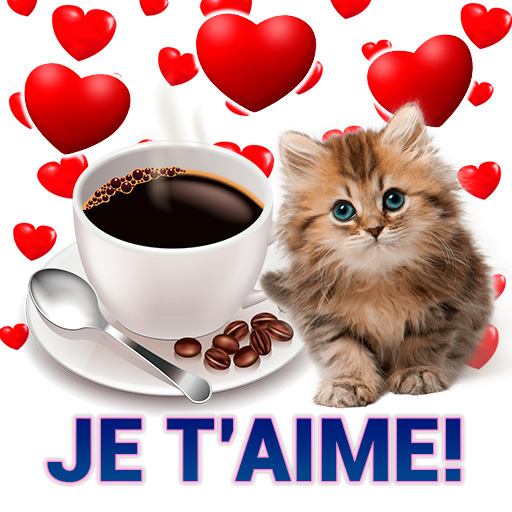 Bonjour, bonsoir, bonne nuit icon