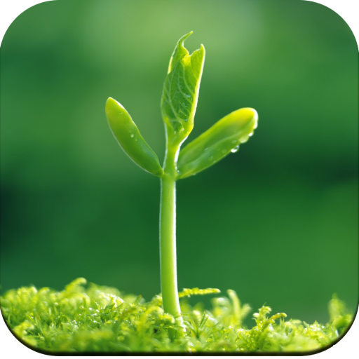 Plants Wallpaper HD icon