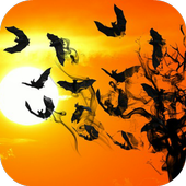 Bat Sounds icon