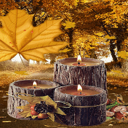 Wood Candles Live Wallpaper أيقونة