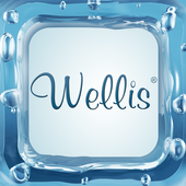 Wellis® -Worldwide Spa Control иконка