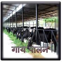 गाय पालन (Cow Rearing) Hindi on 9Apps
