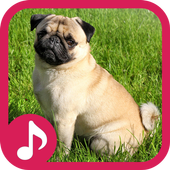 Dog Barking Sounds icon