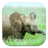 Puzzle Animal icon