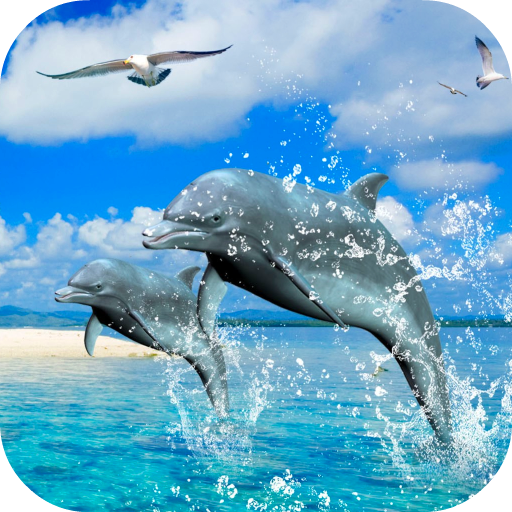 Dolphins 3D Video Wallpaper icon