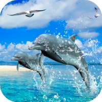 Dolphins 3D Video Wallpaper