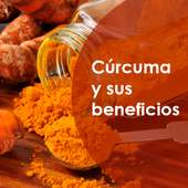 Curcuma salud y enfermedades