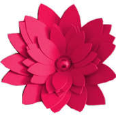 Camera Filters Pro icon