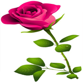 WAStickerApps - Flowers stickers icon