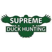 Supreme Duck Hunting on 9Apps
