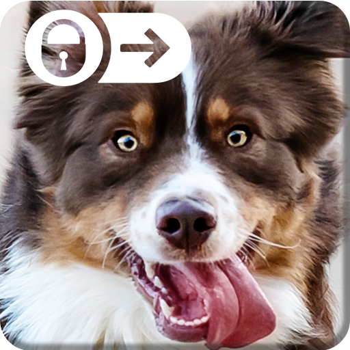 Funny Puppy Little Cute Dog Theme Nice Screen Lock icon