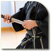 Katana Sword Fighting